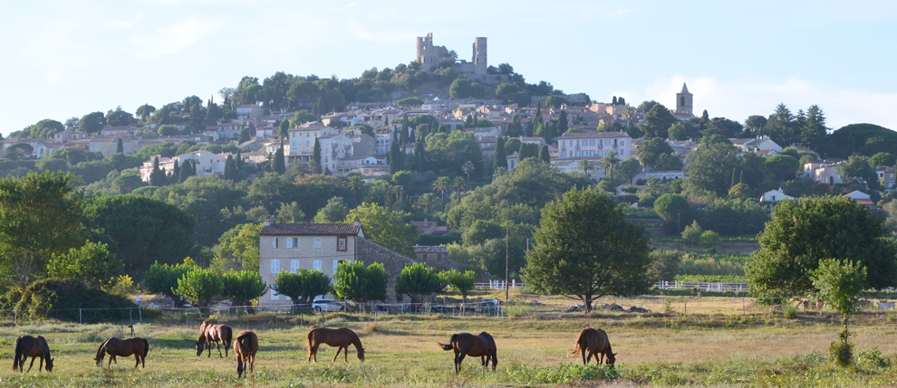 Les Aurochs